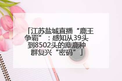 江苏盐城直播“鹿王争霸”：感知从39头到8502头的麋鹿种群复兴“密码”
