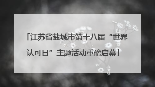 江苏省盐城市第十八届“世界认可日”主题活动重磅启幕