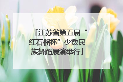 江苏省第五届“红石榴杯”少数民族舞蹈展演举行