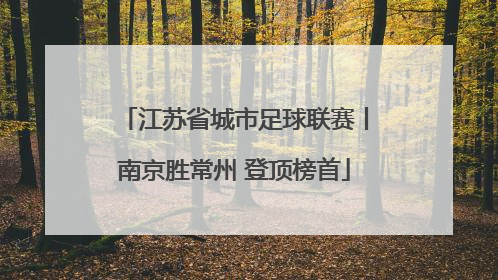 江苏省城市足球联赛丨南京胜常州 登顶榜首