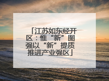 江苏如东经开区：惟“新”图强以“新”提质推进产业强区