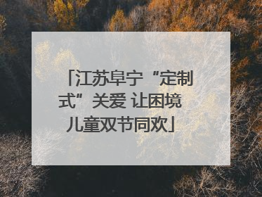 江苏阜宁“定制式”关爱 让困境儿童双节同欢