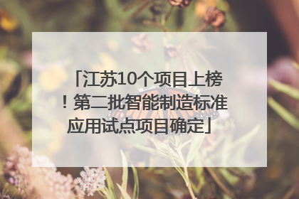 江苏10个项目上榜！第二批智能制造标准应用试点项目确定