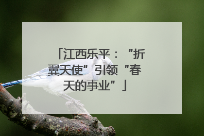 江西乐平：“折翼天使”引领“春天的事业”