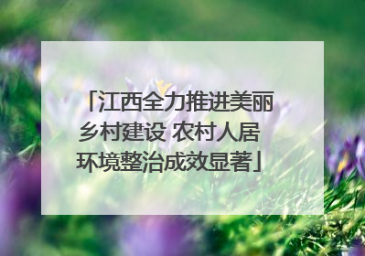 江西全力推进美丽乡村建设 农村人居环境整治成效显著