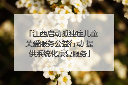 江西启动孤独症儿童关爱服务公益行动 提供系统化康复服务