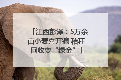 江西彭泽：5万余亩小麦喜开镰 秸秆回收变“绿金”