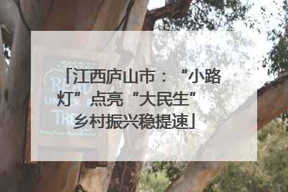 江西庐山市：“小路灯”点亮“大民生” 乡村振兴稳提速