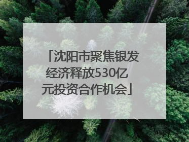 沈阳市聚焦银发经济释放530亿元投资合作机会