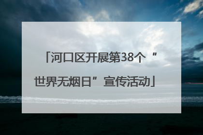 河口区开展第38个“世界无烟日”宣传活动