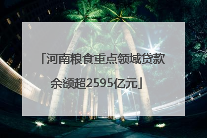 河南粮食重点领域贷款余额超2595亿元
