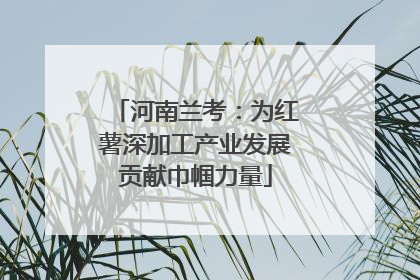 河南兰考：为红薯深加工产业发展贡献巾帼力量