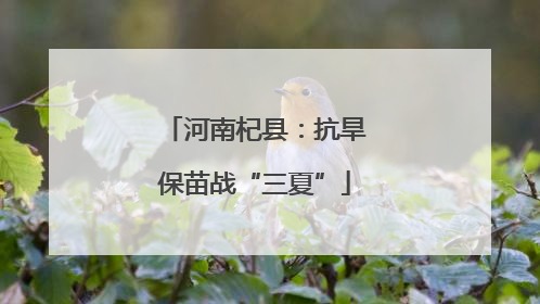 河南杞县：抗旱保苗战“三夏”