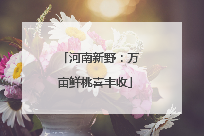 河南新野：万亩鲜桃喜丰收