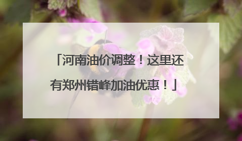 河南油价调整！这里还有郑州错峰加油优惠！