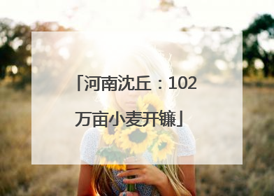 河南沈丘：102 万亩小麦开镰