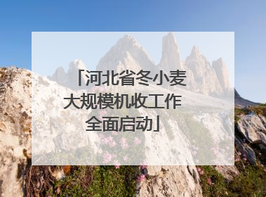 河北省冬小麦大规模机收工作全面启动