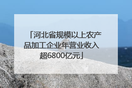 河北省规模以上农产品加工企业年营业收入超6800亿元