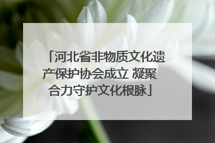 河北省非物质文化遗产保护协会成立 凝聚合力守护文化根脉