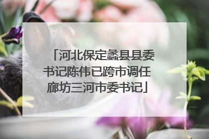 河北保定蠡县县委书记陈伟已跨市调任廊坊三河市委书记