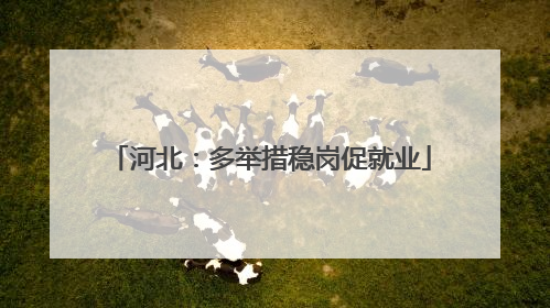 河北：多举措稳岗促就业