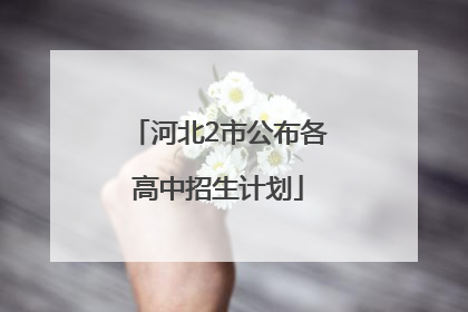 河北2市公布各高中招生计划