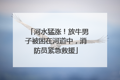 河水猛涨！放牛男子被困在河道中，消防员紧急救援