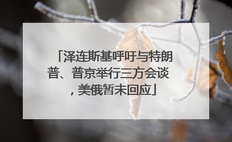 泽连斯基呼吁与特朗普、普京举行三方会谈，美俄暂未回应