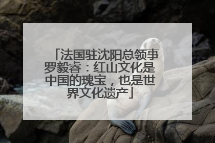 法国驻沈阳总领事罗毅睿：红山文化是中国的瑰宝，也是世界文化遗产