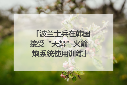 波兰士兵在韩国接受“天舞”火箭炮系统使用训练
