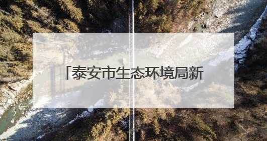 泰安市生态环境局新泰分局：靠前服务，精准护航绿色生产
