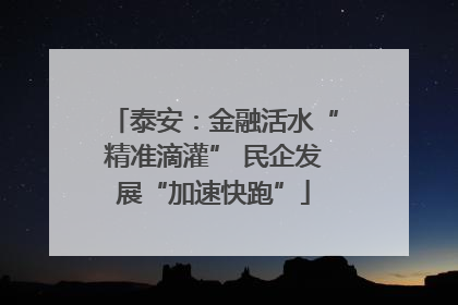 泰安：金融活水“精准滴灌” 民企发展“加速快跑”