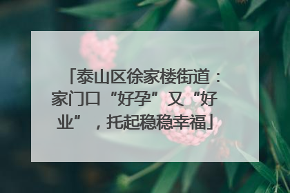 泰山区徐家楼街道：家门口“好孕”又“好业”，托起稳稳幸福