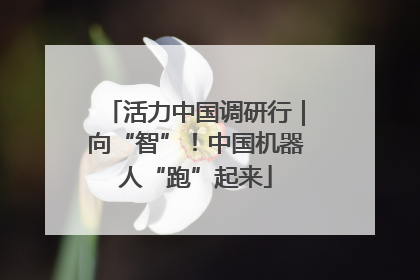 活力中国调研行｜向“智”！中国机器人“跑”起来