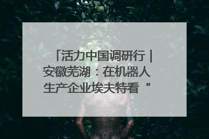 活力中国调研行｜安徽芜湖：在机器人生产企业埃夫特看“中国智造”
