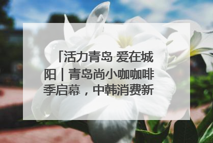 活力青岛 爱在城阳｜青岛尚小咖咖啡季启幕，中韩消费新场景点燃夏日热情