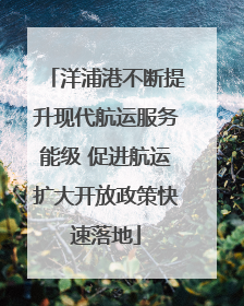 洋浦港不断提升现代航运服务能级 促进航运扩大开放政策快速落地