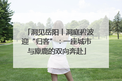 洞见岳阳丨洞庭碧波迎“归客”：一座城市与麋鹿的双向奔赴