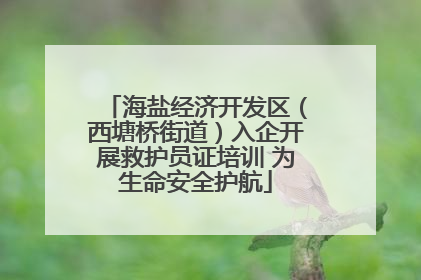 海盐经济开发区（西塘桥街道）入企开展救护员证培训 为生命安全护航