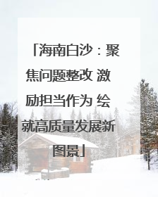 海南白沙：聚焦问题整改 激励担当作为 绘就高质量发展新图景