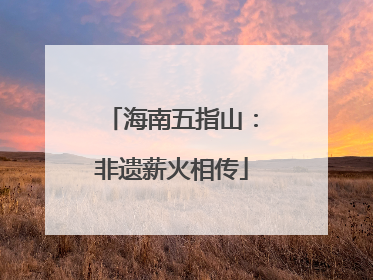 海南五指山：非遗薪火相传