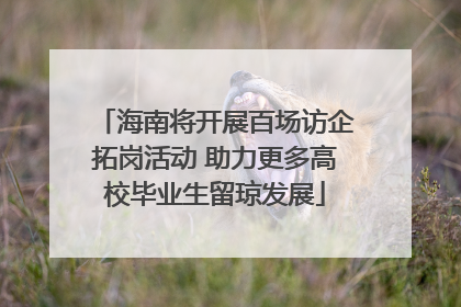 海南将开展百场访企拓岗活动 助力更多高校毕业生留琼发展