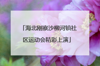 海北刚察沙柳河镇社区运动会精彩上演