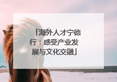 海外人才宁德行：感受产业发展与文化交融