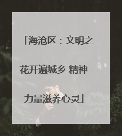 海沧区：文明之花开遍城乡 精神力量滋养心灵