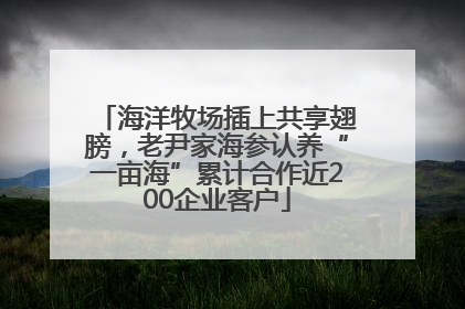 海洋牧场插上共享翅膀，老尹家海参认养“一亩海”累计合作近200企业客户