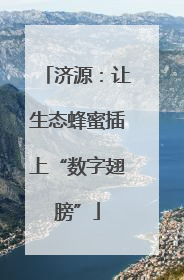 济源：让生态蜂蜜插上“数字翅膀”