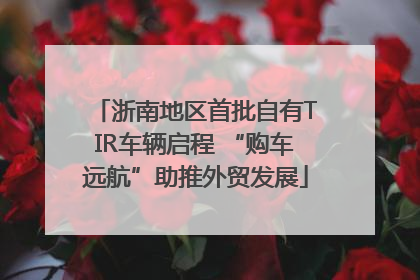 浙南地区首批自有TIR车辆启程 “购车远航”助推外贸发展