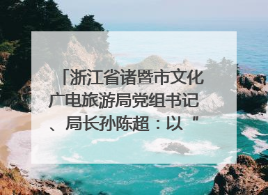 浙江省诸暨市文化广电旅游局党组书记、局长孙陈超：以“西施”IP激活全域旅游 打造县域文旅融合新标杆｜第七届全国县域旅游研究成果发布系列活动