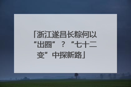 浙江遂昌长粽何以“出圈”？“七十二变”中探新路